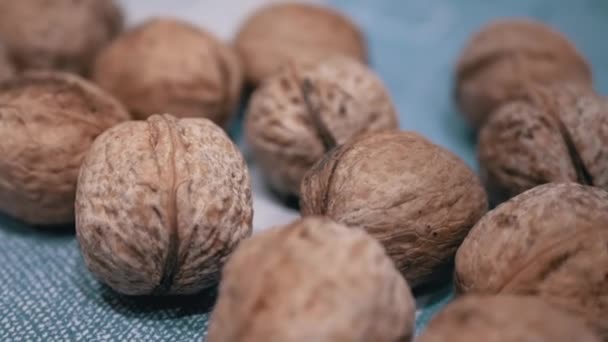 Pile Harvested Whole Ripe Brown Walnuts Lies Table Close Autumn — Stock Video