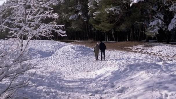 Couple Love Walks Winter Forest Fallen Snow Back View Male — Stock videók