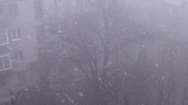 Çok Katlı Binalar Bahçesi 'ndeki Şiddetli Kar yağışlı Pencere manzarası. Yağan kar taneleri, kar, kar fırtınası, yapraksız ağaçların, sisin, evlerin arka planında kar fırtınası. Spot. Görüş mesafesi düşük.