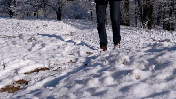Male Feet Boots Walk Snowy Path Snowdrifts Winter Forest Slow — 비디오