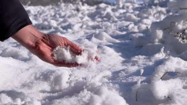 在阳光照射下 雄性手触摸着冬季森林中飘落的绒毛雪 他的男性手指在手中的雪堆中挤压和揉搓着白雪 自然的享受 — 图库视频影像