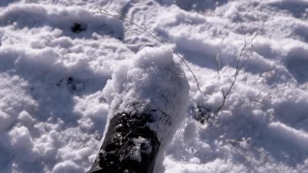 俯瞰全景的女人抖落了黑靴上的雪 摇动着她的腿 穿着雪地靴的脚靠得很近 在阳光下摇掉雪地上的雪鞋 雪粘住了摆动的腿 下雪了慢动作 — 图库视频影像