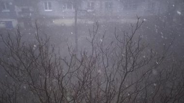 Çok katlı binaların avlusundaki Şiddetli Kar yağışlı Pencere manzarası. Yapraksız ağaçların, sisin, evlerin arka planında yağan kar taneleri, kar ve kar fırtınaları. Spot. Görüş mesafesi düşük.