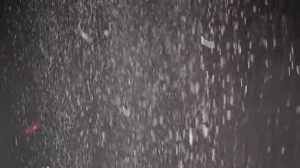 Whirlpool Falling Confetti Dust Particles Snowfall Black Background Blurred Abstract — Vídeo de Stock