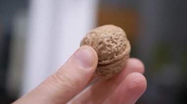 Çiftçi El Tutuşu ve Bulanık Arka plan 'da Büyük Ceviz Gösterimi. Yakın plan. Sonbahar hasadı. Faydalı, diyet sağlıklı yemek. Beyin gıdası. Vejetaryenlik. Olgun kahverengi ceviz kabuğu. Doku. Yavaş çekim.