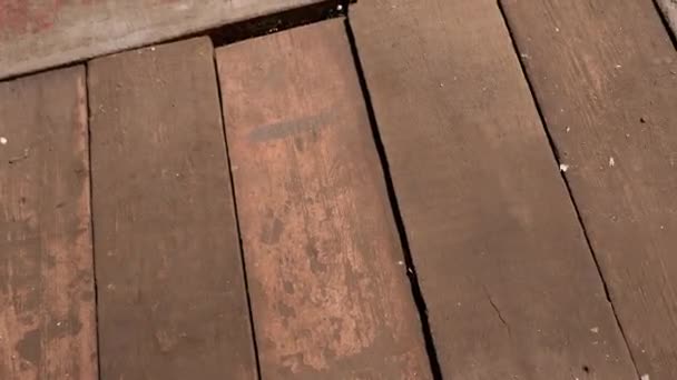Osoba Zametá Starou Špinavou Dřevěnou Podlahu Koštětem Garáži Slunci Detailní — Stock video