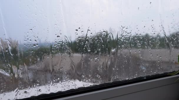 雨水从窗户外面的湿玻璃杯流下 灰蒙蒙的天空 窗外是秋天的雨天 气象学 混合玻璃杯 忧郁的 抑郁症 模糊的自然背景 — 图库视频影像