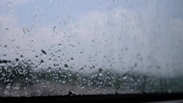 雨滴从窗户外面的细雨中被湿透了的 混合了的玻璃流了下来 忧郁的 秋天的萧条 模糊的自然背景 灰暗的天空 云彩和窗外的树木 — 图库视频影像