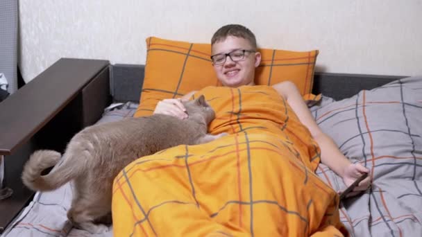 Child Glasses Smartphone Hands Strokes Cat Bed Blanket Laughing Boy — Wideo stockowe