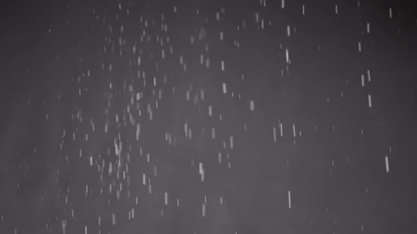 落下混合粒子 ほこり 黒の背景に粉 雪の結晶の渦の飛行粒子は 雲霧の中で回転する ブリザード星の雨 宇宙だ — ストック動画