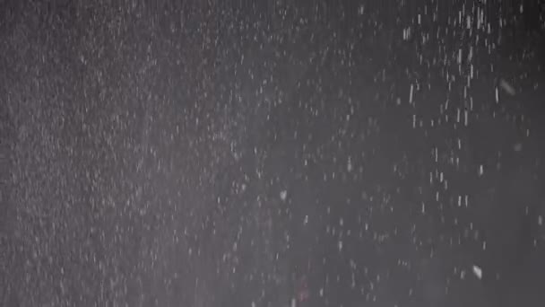 Stroom Van Vallende Confetti Stofdeeltjes Sneeuwval Zwarte Achtergrond Wazig Abstracte — Stockvideo