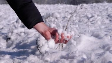 Erkek El, Kış Ormanı 'ndaki Güneş Işıkları' nda Düşen Tüylü Kar 'a Dokunuyor. Erkek parmaklar beyaz soğuk karı avucundaki kar yığınıyla sıkar ve ovar. Hissetmek. Kar alın. Doğanın keyfi..