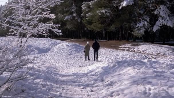 Couple Love Walks Winter Forest Fallen Snow Back View Male — 비디오