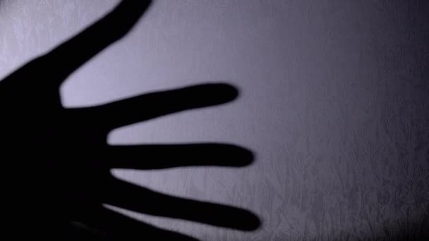 Shadow Long Black Fingers Monster Wall Light Flashlight Silhouette Fingers — Stock video
