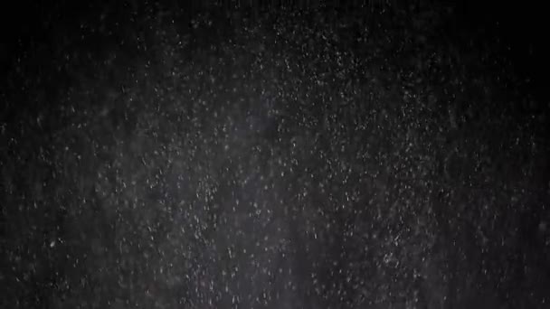 Stream Falling Mixed Particles Dust Debris Powder Black Background Snowfall — Stok video