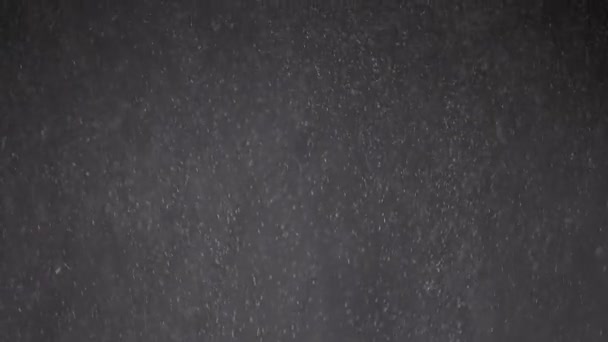 파우더검은 눈송이들로 이루어진 소용돌이 입자들 안개를 회전합니다 블리자드 추상적 — 비디오