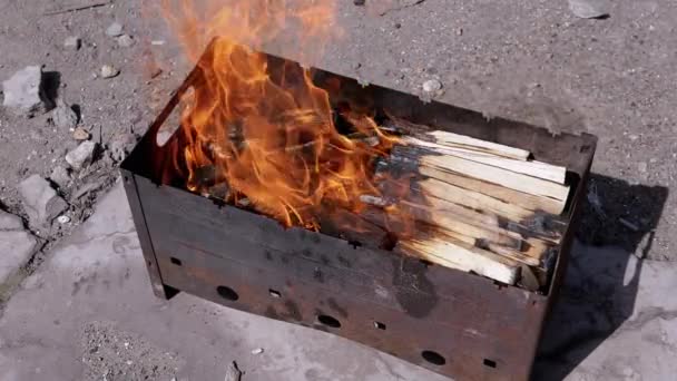 Vágott Tűzifa Egy Fényes Láng Füst Szabadban Tűzhely Egy Lángoló — Stock videók