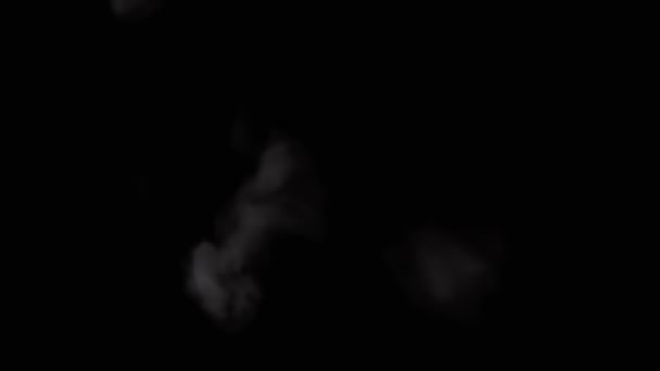 Рух Яких Пухнастих Кілець Сигаретного Диму Піднімається Чорному Тлі Розмитий — стокове відео