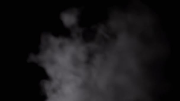 黒い背景の上を飛ぶ蒸気の氷の白い霧の雲 抽象的な背景 ボケ効果 濃い霧と煙は 空の空間を埋める 焦点をぼかした 氷の雲蒸気 浮遊霧 スローモーション — ストック動画