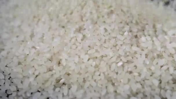 Close Stream Falling White Raw Grains Arroz Japonés Cámara Lenta — Vídeo de stock