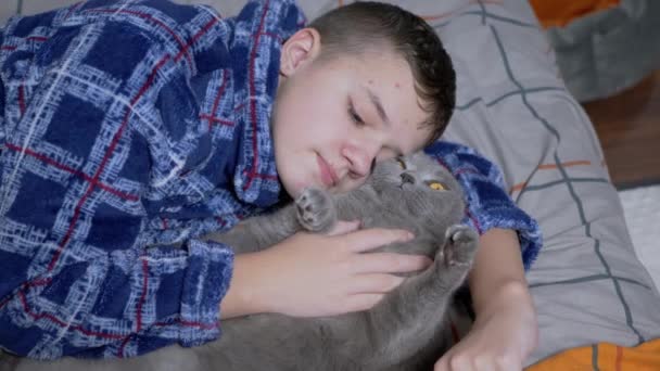 Ύπνο Παιδί Αγκαλιάζει Και Παίζει Μια Χνουδωτή Γάτα Ξαπλωμένη Ένα — Αρχείο Βίντεο