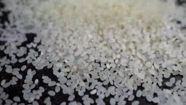 Décryptages Stream Falling White Raw Grains Japanese Rice Slow Motion — Video