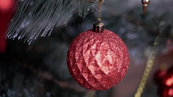 Κόκκινη Γυαλιστερή Μπάλα Χριστουγεννιάτικου Δέντρου Κρέμεται Κλαδί Έλατο Θολό Φόντο — Αρχείο Βίντεο
