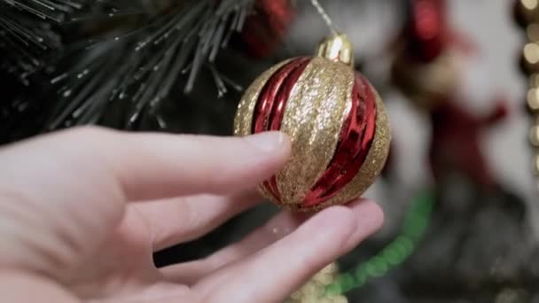 Κοντινό Πλάνο Χέρια Που Αγγίζουν Μπάλα Χριστουγεννιάτικου Δέντρου Κλαδί Χριστουγεννιάτικο — Αρχείο Βίντεο