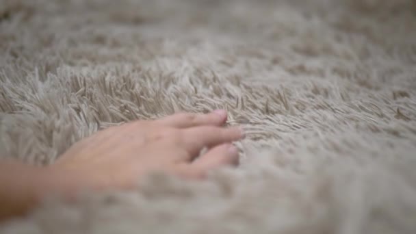 Close Female Hand Speelt Met Een Kat Een Beige Fleecy — Stockvideo