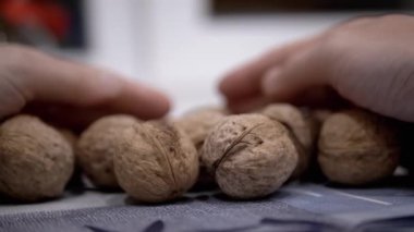 Çiftçi Eller Sehpadaki Ceviz Meyvelerini Topluyor. Yakın plan. Sonbahar hasadı olgun, taze ceviz. Faydalı sağlıklı yiyecekler. Beyin gıdası. Diyet yemek. Vejetaryenlik. Kahverengi ceviz kabuğu. Yavaş çekim.