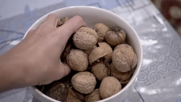 Farmer Hand Stirring Zebrane Brązowe Orzechy Włoskie Misce Zbliżenie Jesienne — Wideo stockowe