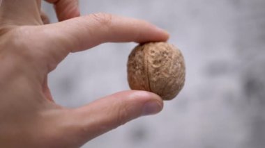 Çiftçi El Tutuşu ve Bulanık Arka plan 'da Büyük Ceviz Gösterimi. Yakın plan. Sonbahar hasadı. Faydalı, diyet sağlıklı yemek. Beyin gıdası. Vejetaryenlik. Olgun kahverengi ceviz kabuğu. Doku. Yavaş çekim.