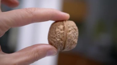 Çiftçi El Tutuşu ve Bulanık Arka plan 'da Büyük Ceviz Gösterimi. Yakın plan. Sonbahar hasadı. Faydalı, diyet sağlıklı yemek. Beyin gıdası. Vejetaryenlik. Olgun kahverengi ceviz kabuğu. Doku. Yavaş çekim.