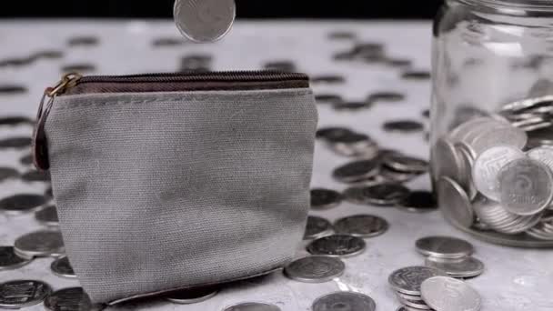 Frau Steckt Fünf Cent Graue Geldbörse Mit Kleingeld Auf Dem — Stockvideo