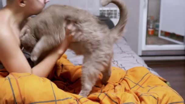 Szczęśliwe Dziecko Okularach Bawiąc Się Szarym Domowym Kotem Łóżku Kocu — Wideo stockowe