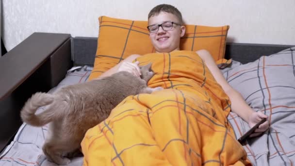 Child Glasses Smartphone Hands Strokes Cat Bed Blanket Laughing Boy — Video Stock