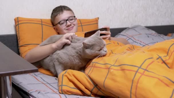 Dziecko Okularach Smartfonem Rękach Głaszcze Kota Łóżku Kocu Uśmiechnięty Chłopiec — Wideo stockowe