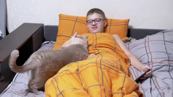 Barn Glasögon Med Smartphone Händerna Strokes Katt Sängen Filt Skrattande — Stockvideo