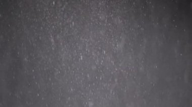 Falling Mixed Particles, Snowfall, Dust, Debris, Powder on Black Background. Dynamic stream particles of white snow, flying snowflakes, flakes rotate, swirl in cloud fog. Star rain, stardust. Space.