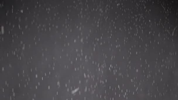 Flusso Cadute Confetti Particelle Polvere Nevicate Sfondo Nero Sfondo Dinamico — Video Stock
