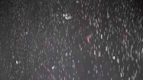 落下Confetti 塵粒子 および黒い背景の降雪の流れ チンセル 曇った霧の煙の中で白い粉を飛んでのぼやけた抽象的な動的背景 スターダスト花火 — ストック動画