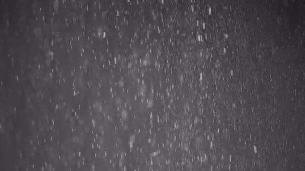 Düşen Konfeti Akıntısı Toz Parçacıkları Kara Arkaplanda Kar Düşüşü Bulanık — Stok video