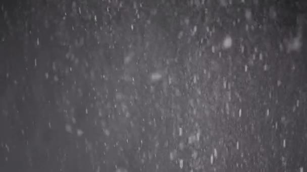 Ströme Herabfallender Konfetti Staubpartikel Und Schneefall Auf Schwarzem Hintergrund Verschwommener — Stockvideo