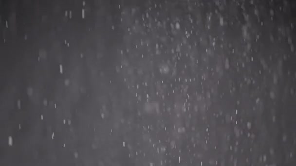 Ροή Falling Mixed Particles Dust Debris Powder Black Background Χιονίζει — Αρχείο Βίντεο