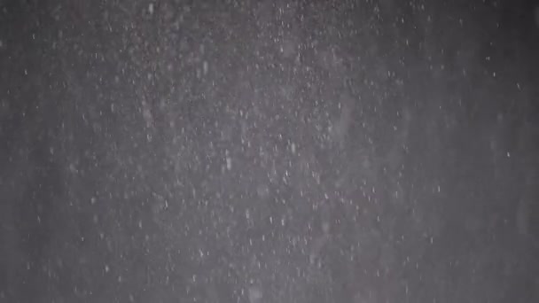 Falling Mixed Particles Snowfall Dust Debris Powder Black Background Dynamic — 비디오