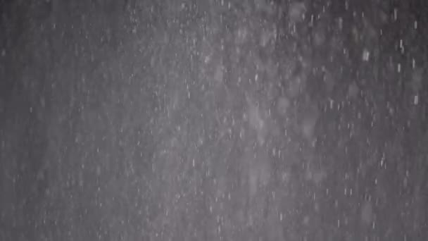 Falling Mixed Particles Snowfall Dust Debris Powder Black Background Dynamic — 비디오