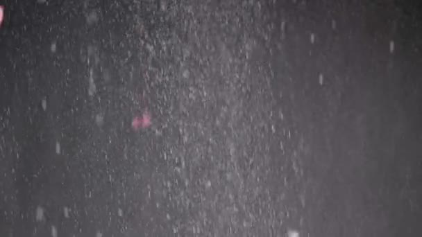 Потоки Falling Confetti Dust Particles Snowfall Black Background Розмите Абстрактне — стокове відео