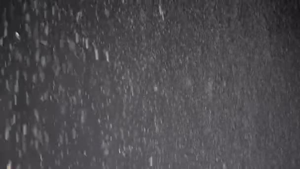 Strömmen Fallande Confetti Damm Partiklar Och Snöfall Svart Bakgrund Suddig — Stockvideo