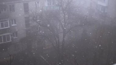 Çok katlı binaların avlusundaki Şiddetli Kar yağışlı Pencere manzarası. Yapraksız ağaçların, sisin, evlerin arka planında yağan kar taneleri, kar ve kar fırtınaları. Spot. Görüş mesafesi düşük.