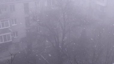 Çok Katlı Binalar Bahçesi 'ndeki Şiddetli Kar yağışlı Pencere manzarası. Yağan kar taneleri, kar, kar fırtınası, yapraksız ağaçların, sisin, evlerin arka planında kar fırtınası. Spot. Görüş mesafesi düşük.